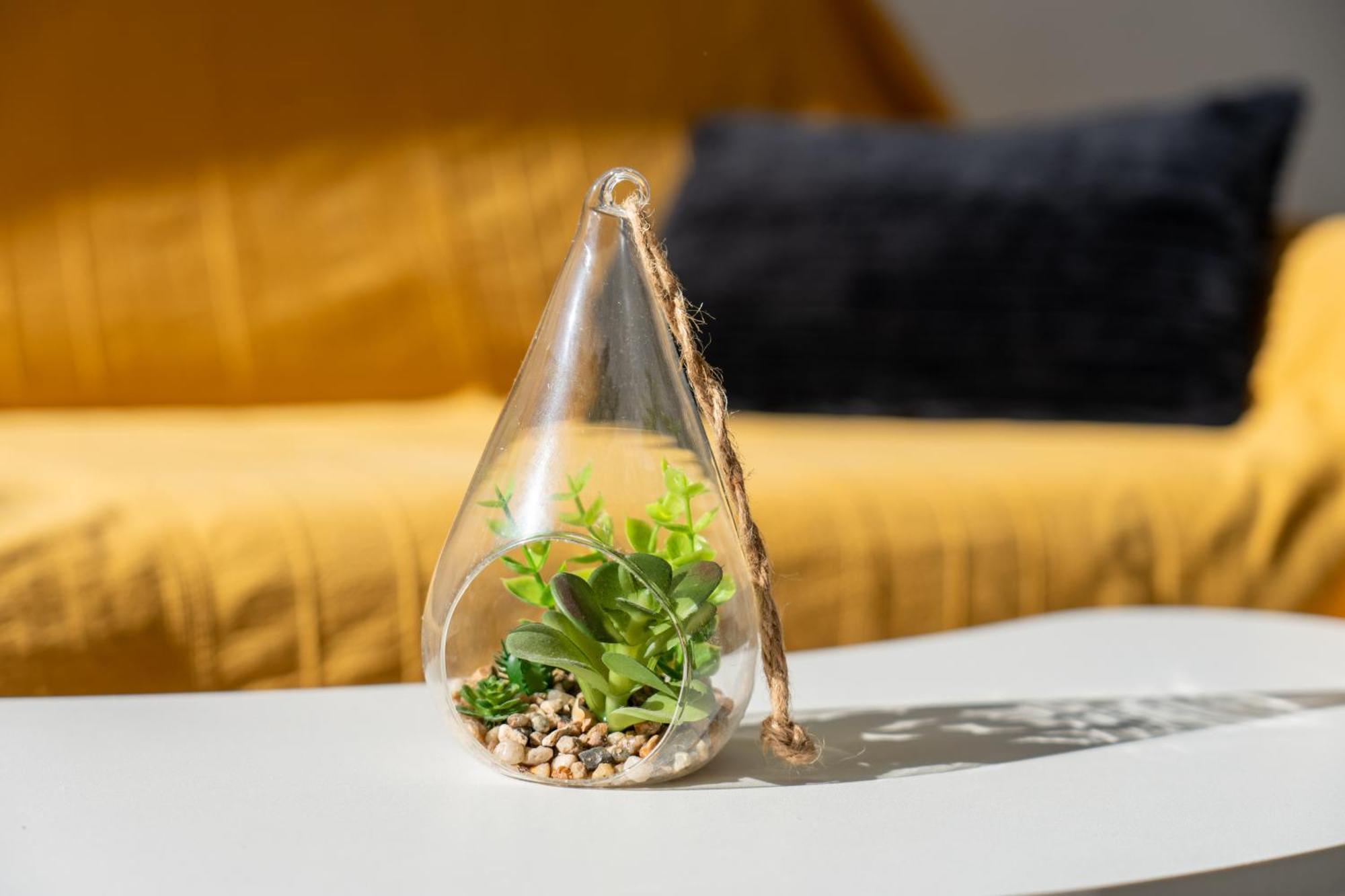Sejournez les pieds dans l eau appartement classé 2 étoiles Agde Exterior foto
